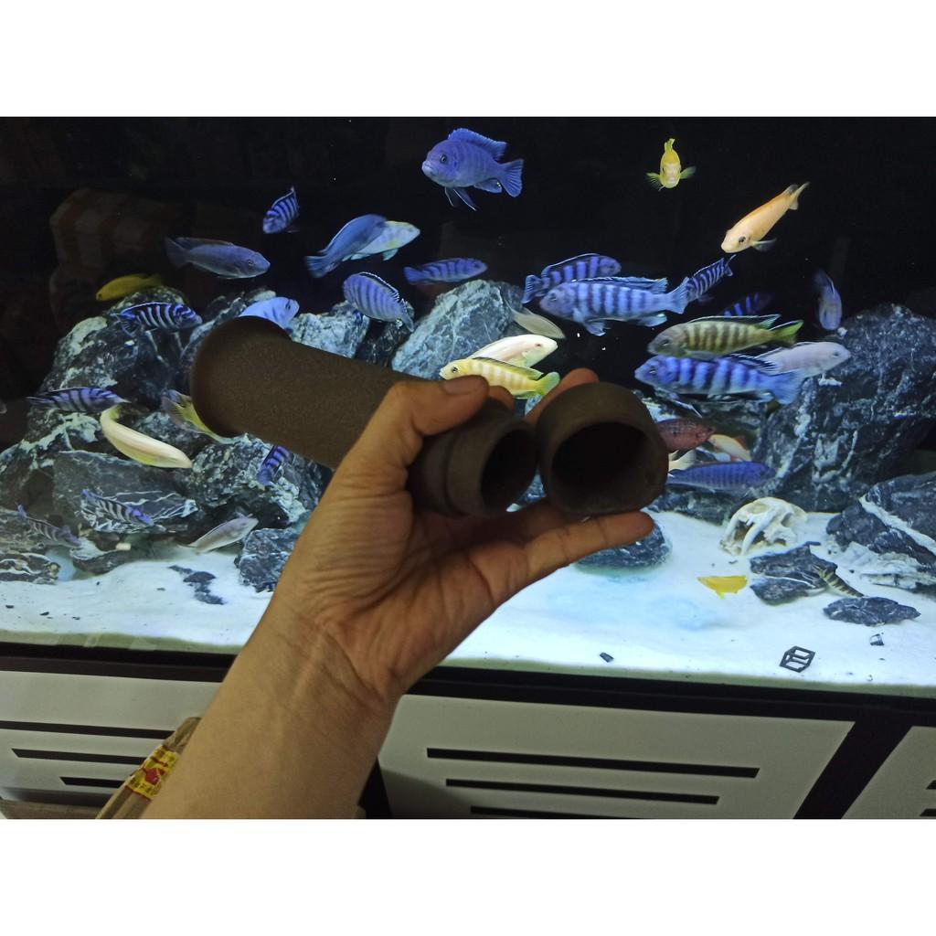 HANG PLECO RÚT NẮP - Hang cho cá Pleoc sinh sản - TRANG TRÍ BỂ CÁ