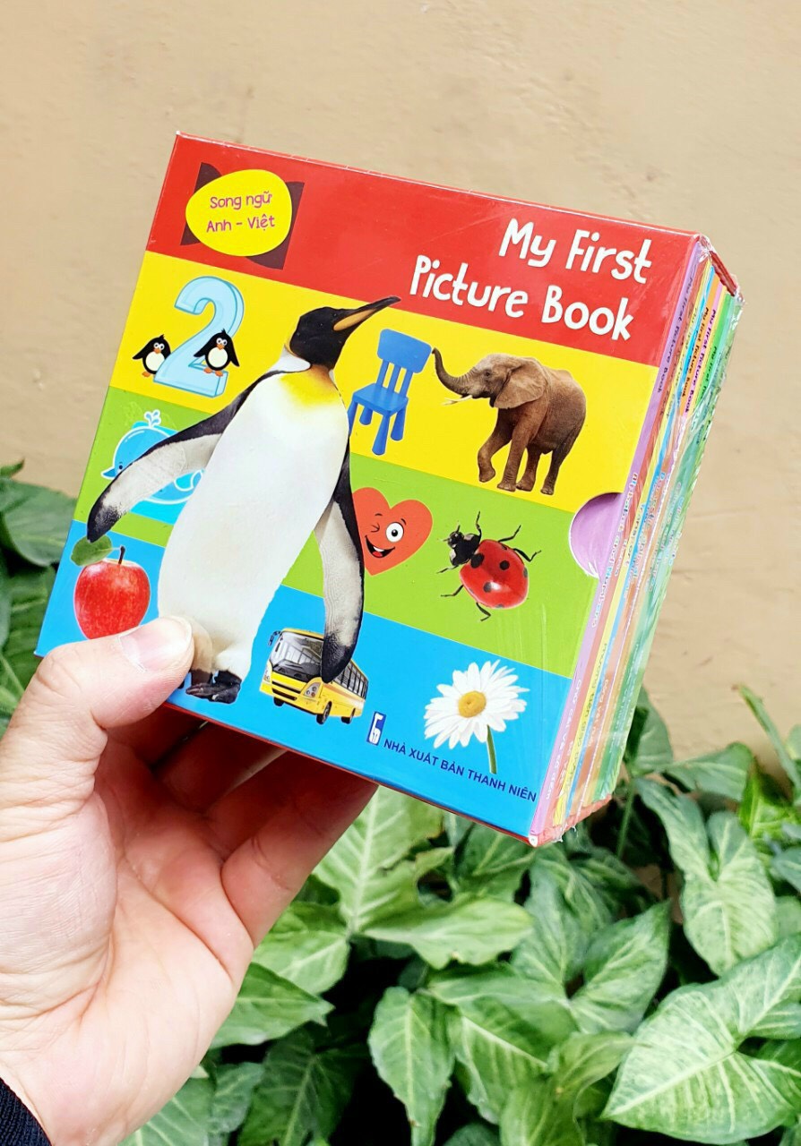 Flash card - My first book Picture - Thư viện song ngữ hình ảnh đầu tiên cho bé