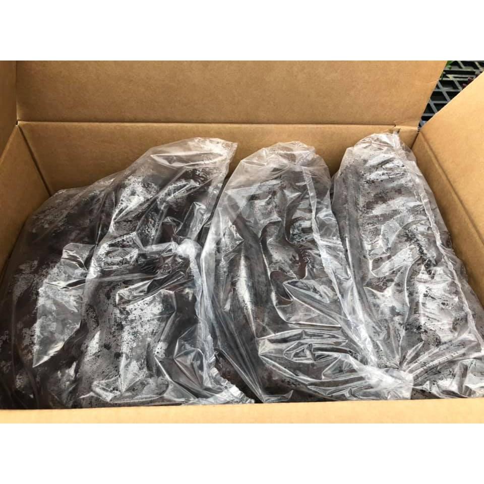1 THÙNG mút HỮU CƠ ươm kei QUICK PLUG Hà Lan