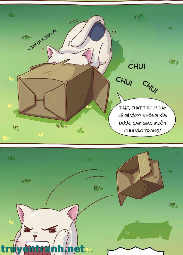 cây nấm kì khả chapter 7 12