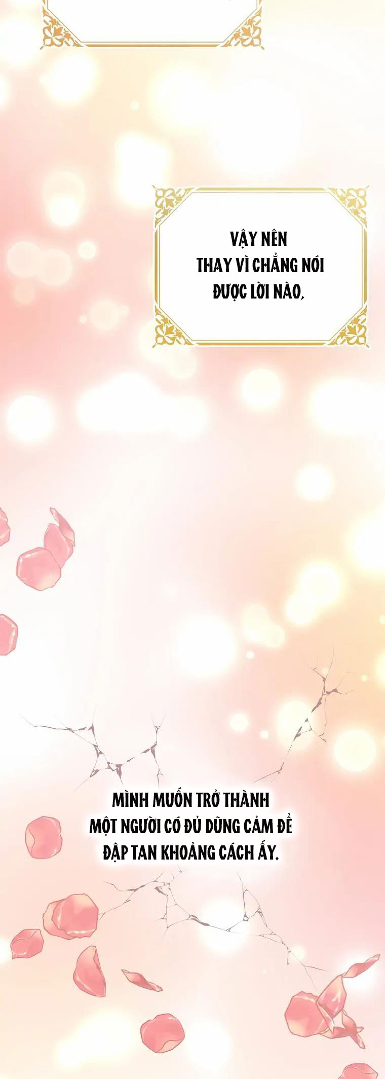 aster yêu dấu của tôi chapter 3 73