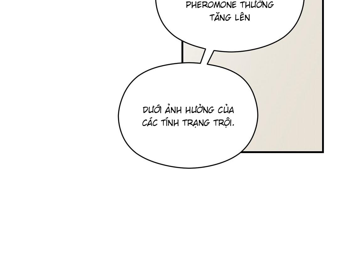 phức cảm tự ti của omega chapter 42 21