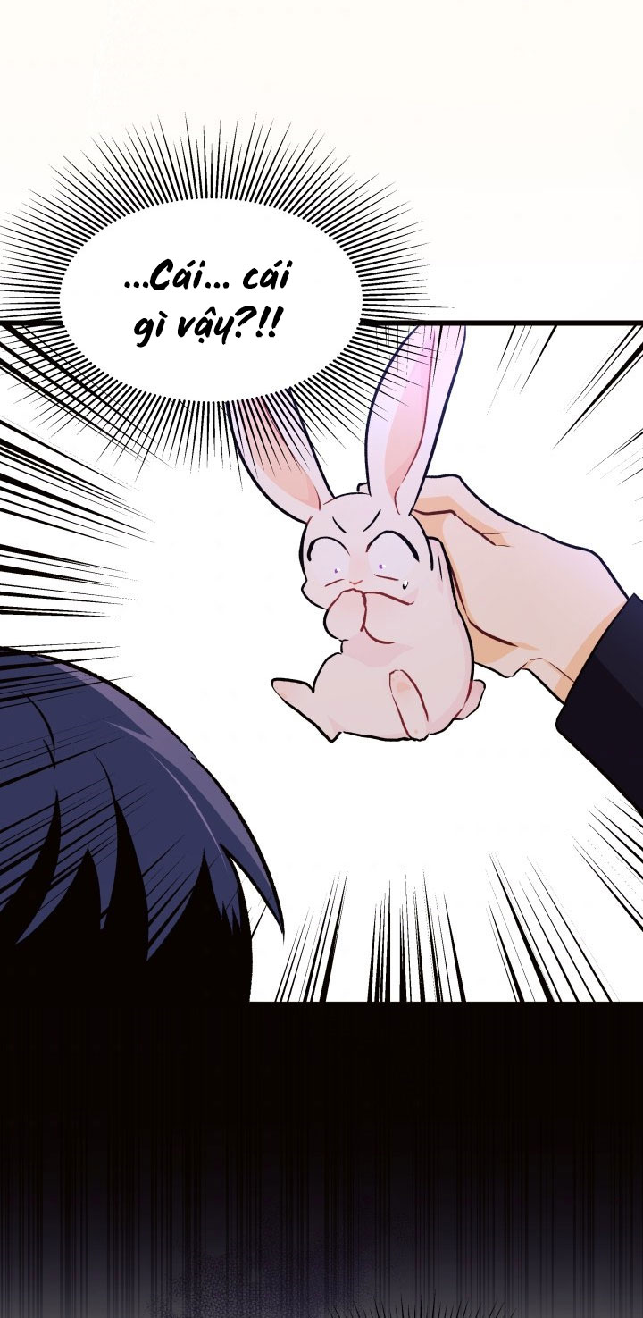 mối liên kết giữa báo đen và bé thỏ chapter 22 20