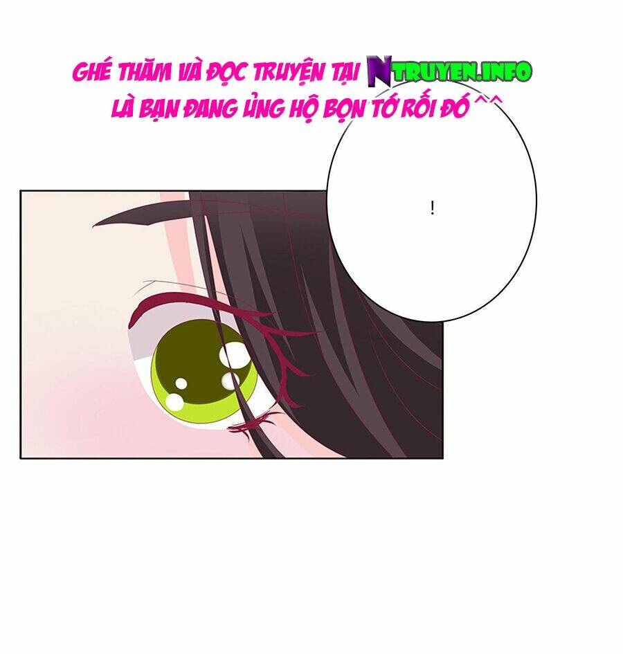 tướng quân mời ra trận chapter 175 16