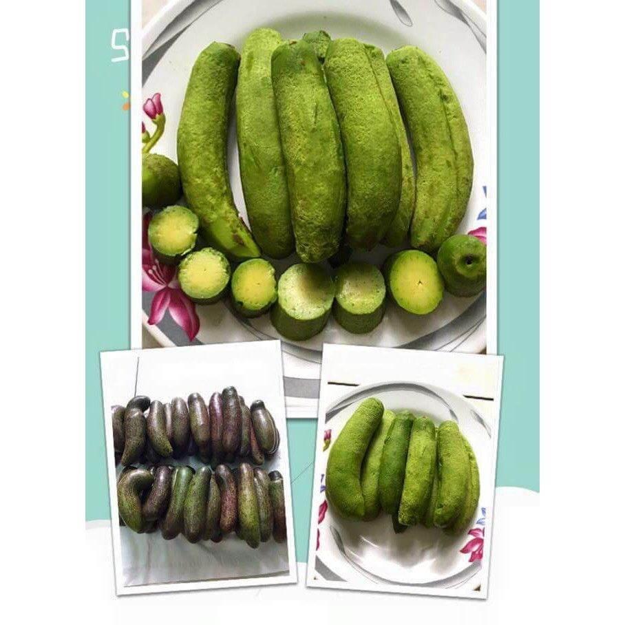 CÂY GIỐNG BƠ KHÔNG HẠT