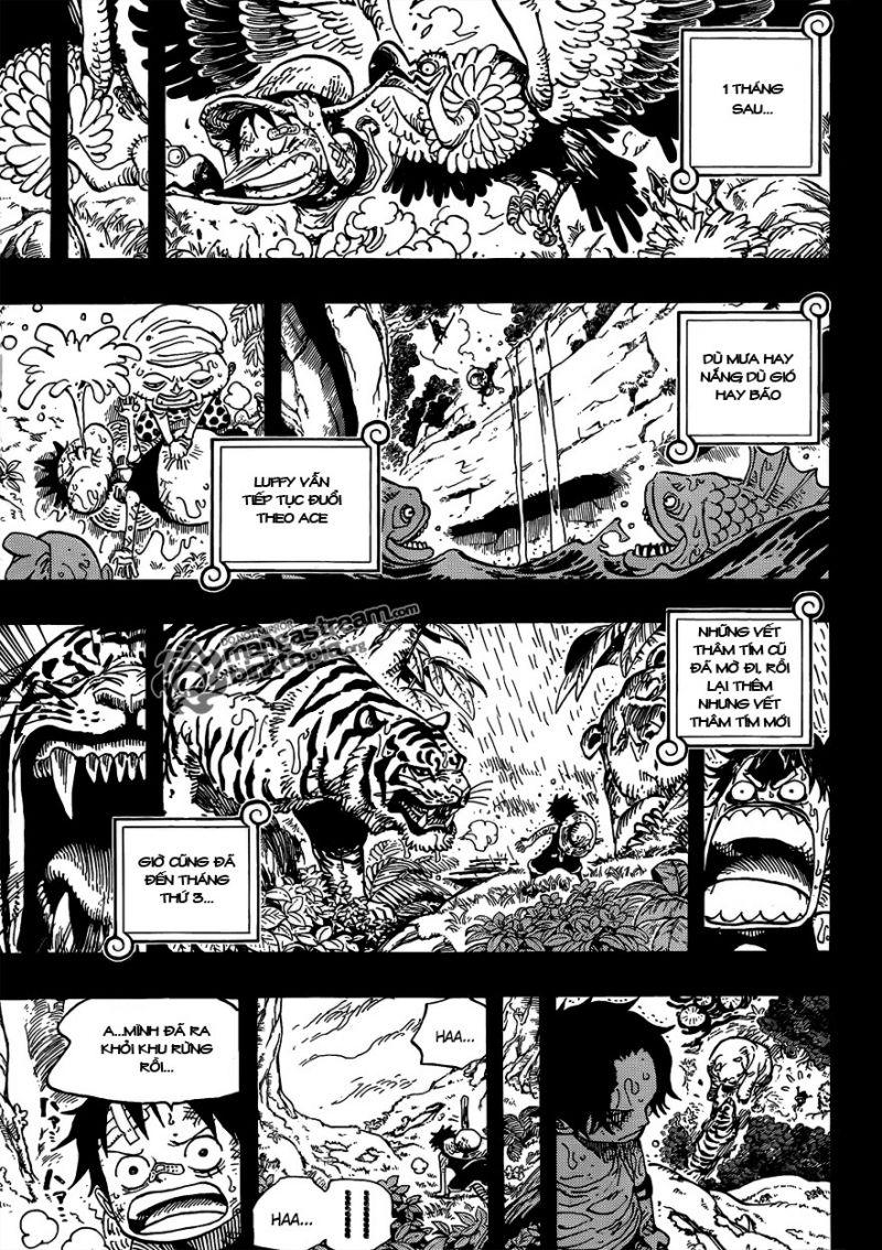 đảo hải tặc - one piece chapter 583 9