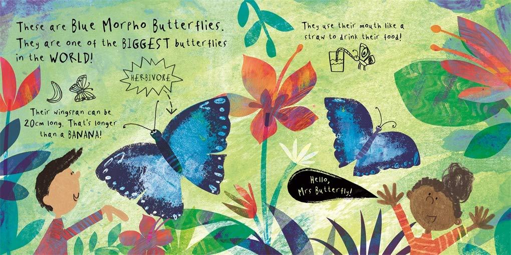 Sách ngoại văn: A Lift The Flat Book - Hello, Mr Tiger!