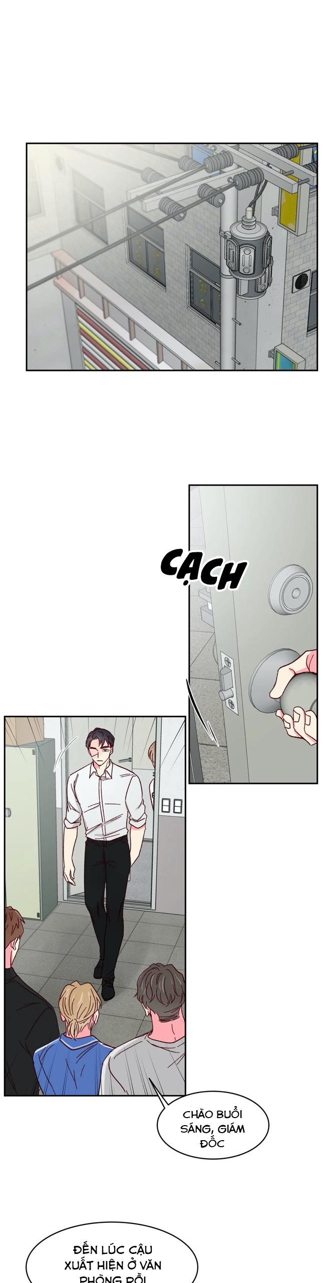 món tráng miệng của sếp tổng chapter 51 12