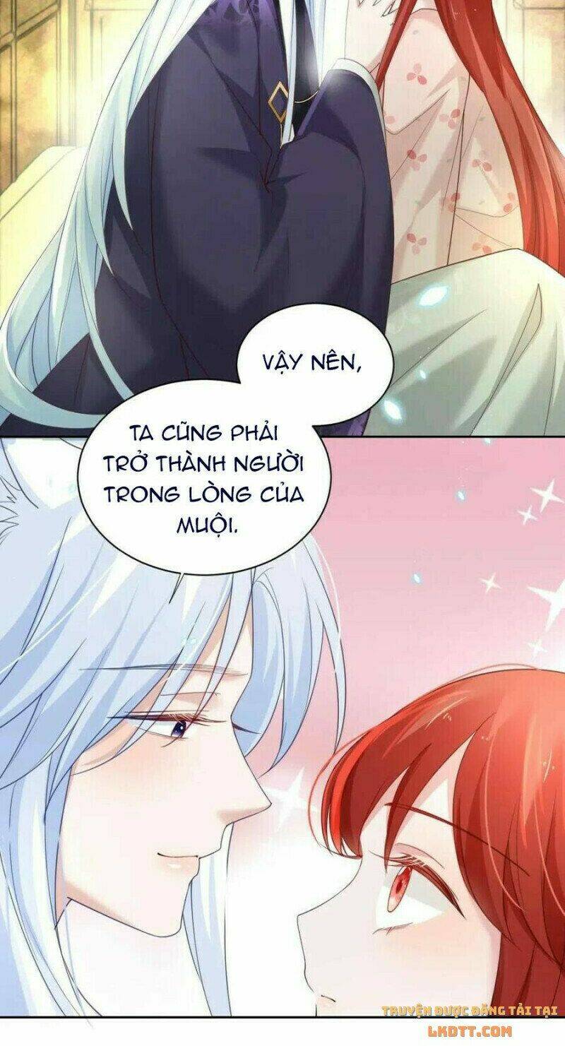 hắc hóa nam chính trực tuyến nuôi thỏ chapter 61 3