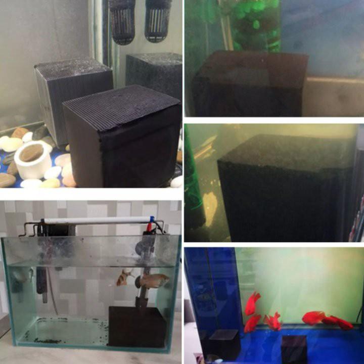 Miếng Lọc Bể Cá Than Hoạt Tính Hình Lập Phương 10x10x10cm