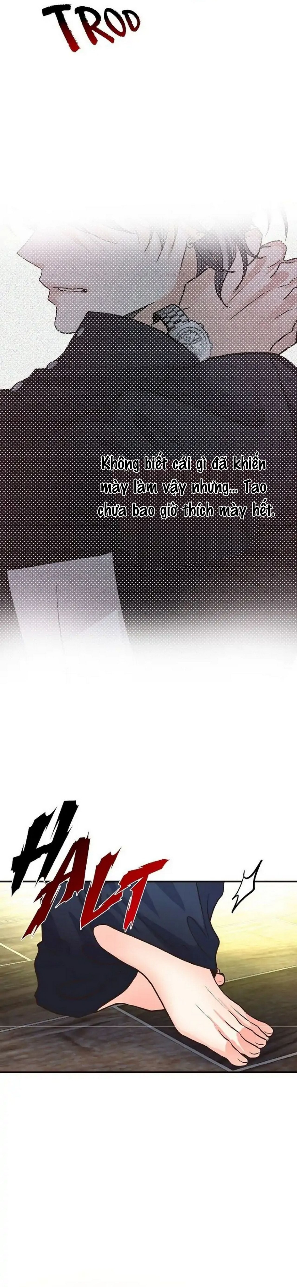 mối quan hệ phù hợp chapter 17 34