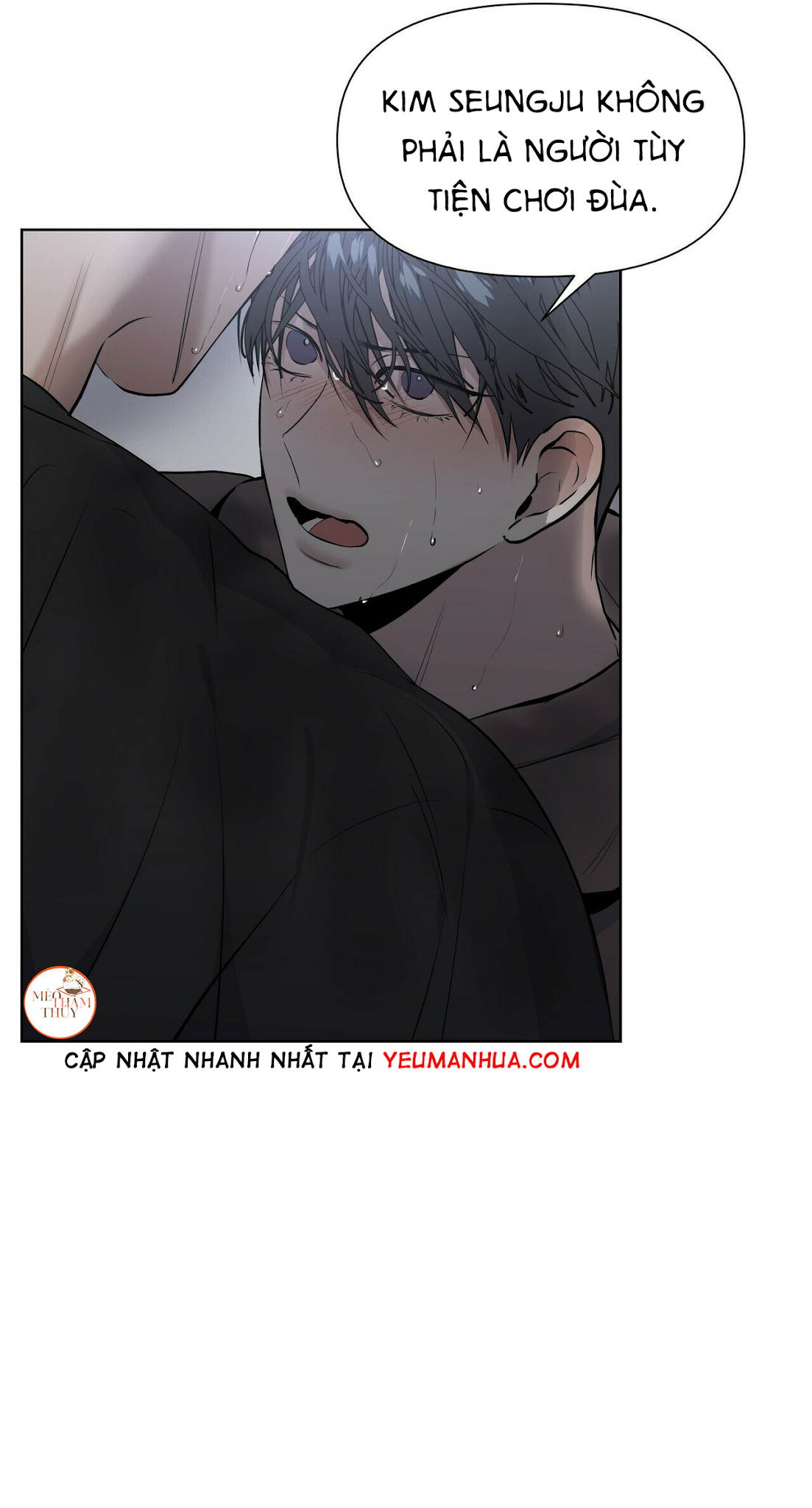 hội chứng chapter 11 13