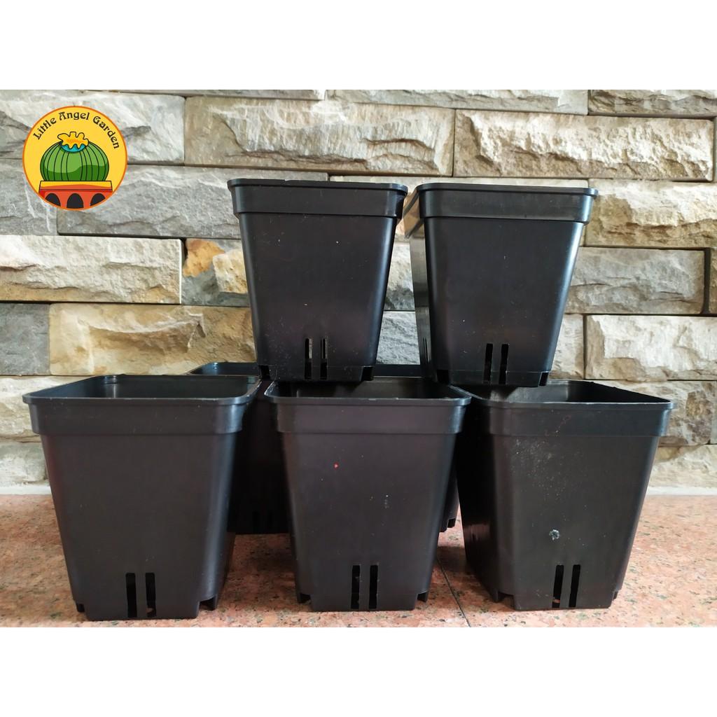 Châu nhựa cứng dày vuông, đen - Thích hợp trồng xương rồng và Haworthia | 9 * 9cm