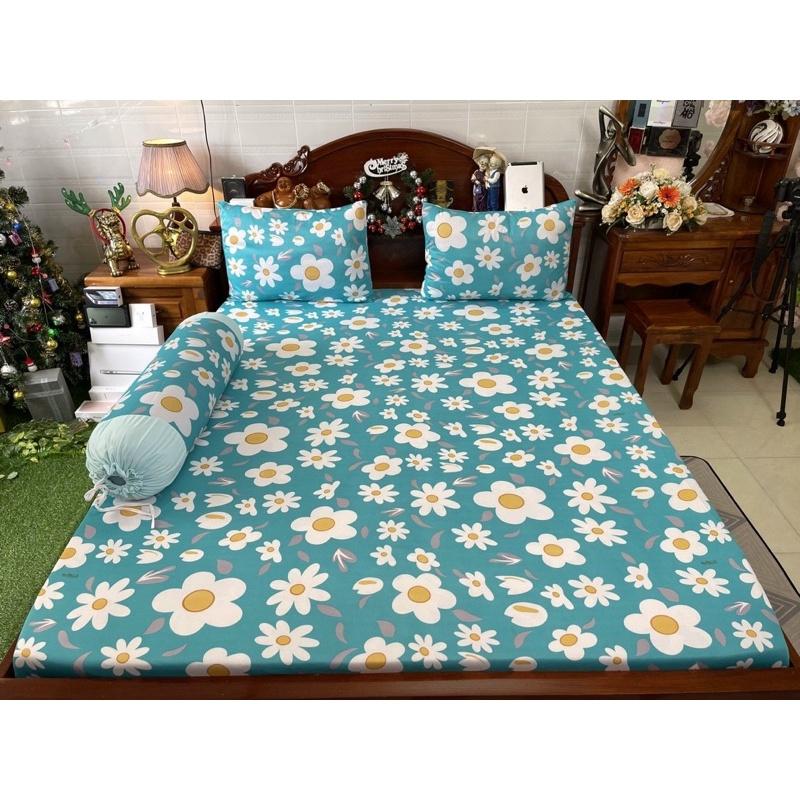 Drap thun hàn quốc