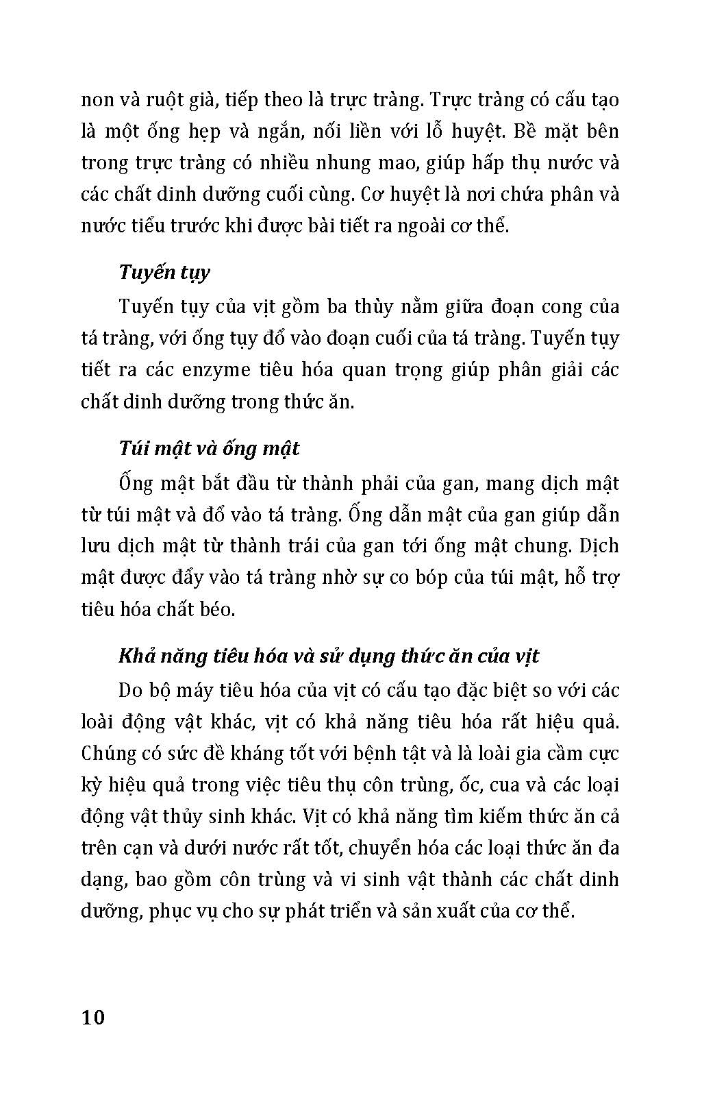 Nông Nghiệp Xanh Và Sạch - Nuôi Vịt Sạch
