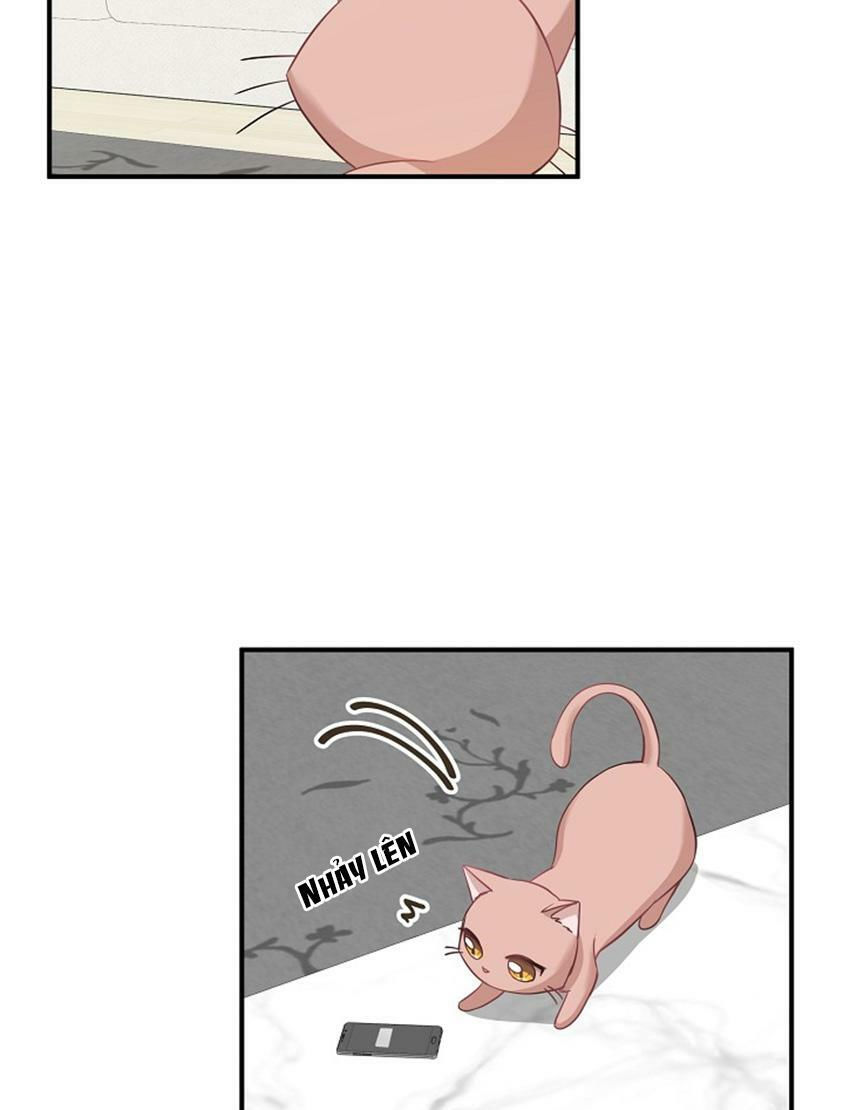 cuộc sống kỳ thú chapter 17 15