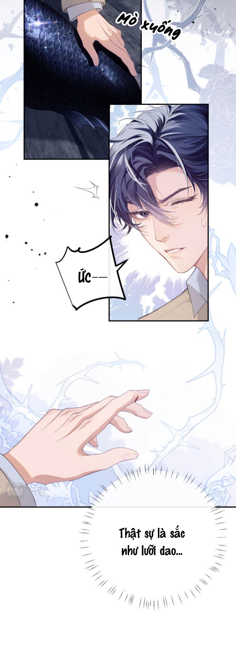 nhân ngư dessaro chapter 1 25