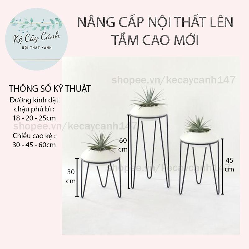 KỆ CÂY CẢNH CỔ ĐIỂN  SANG TRỌNG SƠN TĨNH ĐIỆN - CHỊU LỰC TỐT CHO NỘI THẤT HIỆN ĐẠI