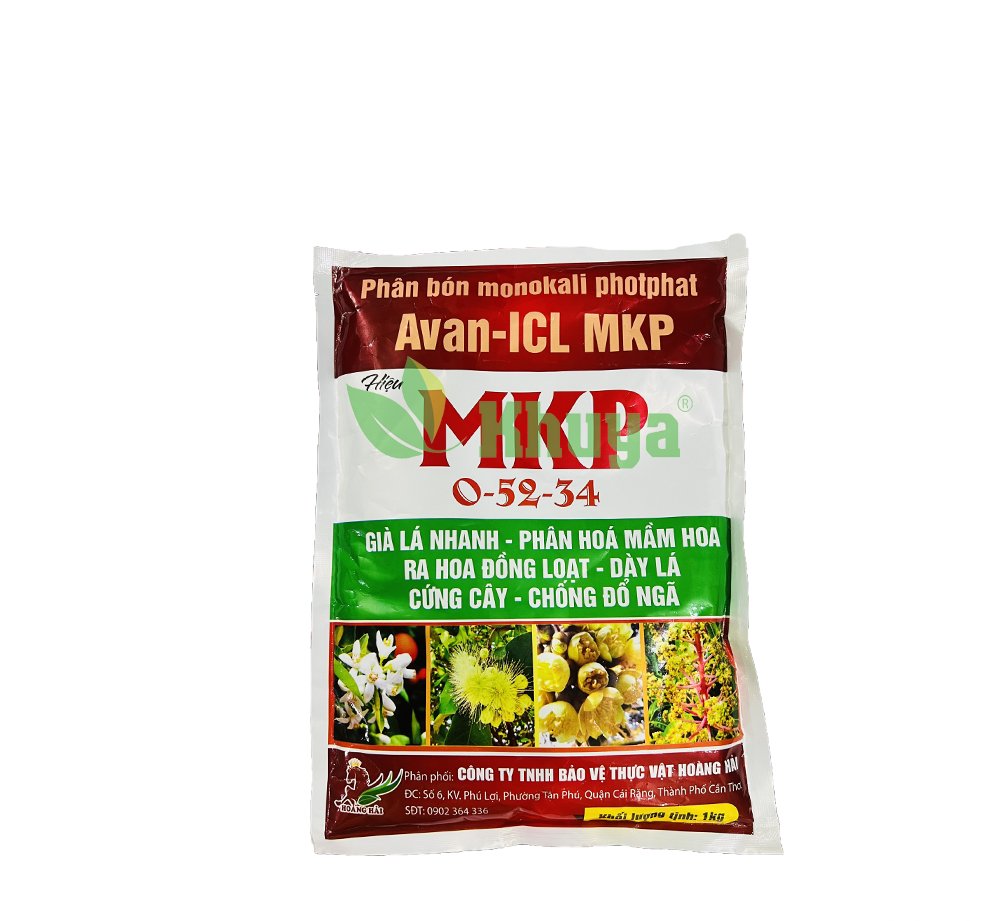Phân bón Monokali Photphat AVA-ICL MKP 0-52-34 gói 1kg Già lá và Phân hóa mầm hoa