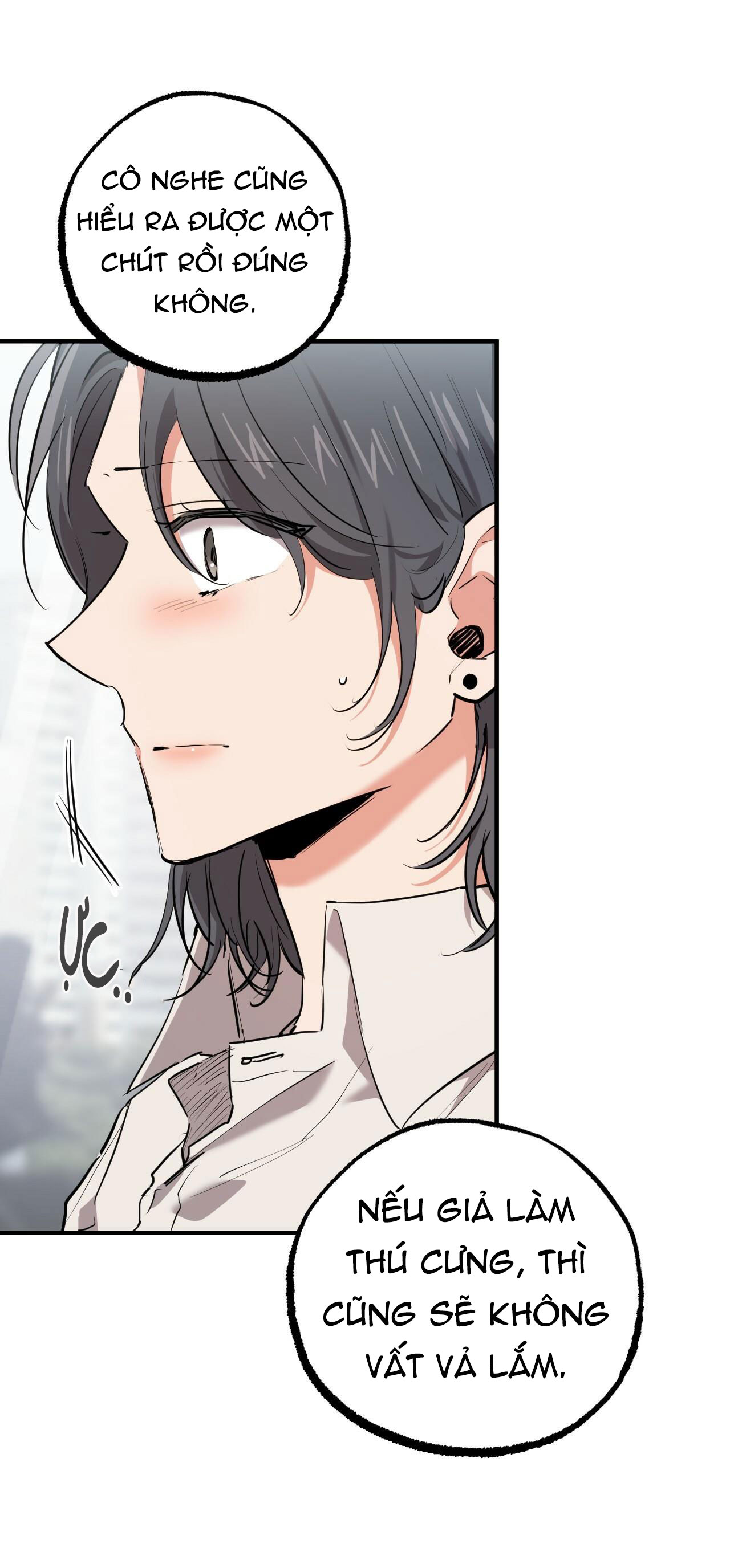 những chú thỏ của hapypy chapter 34 45