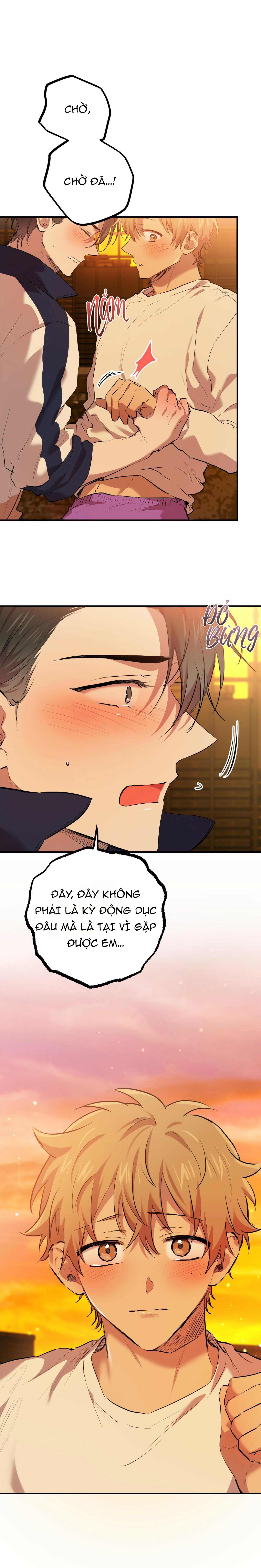 những chú thỏ của hapypy chapter 25 3