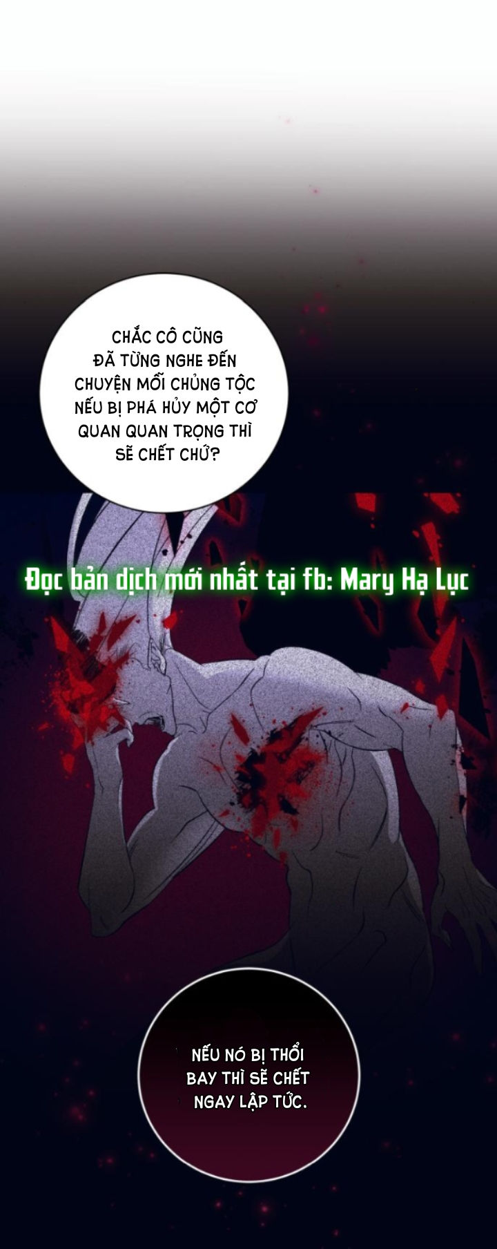 điệu nhảy say mê giữa màn đêm chapter 9.1 4