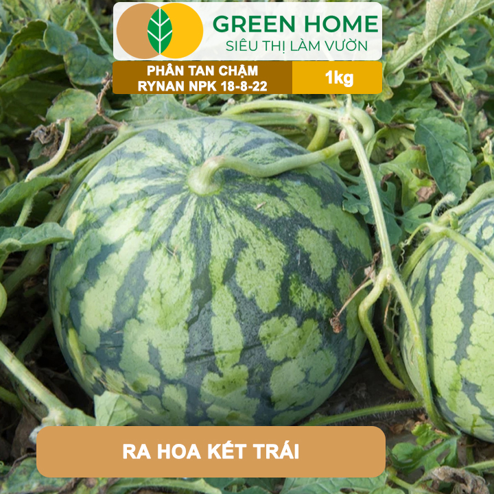 Phân Tan Chậm GreenHome, Rynan NPK 18-8-22, Túi 1kg, Dùng Cho Cây Ăn Trái,Cây Lâu Năm Phục Hồi Nhanh