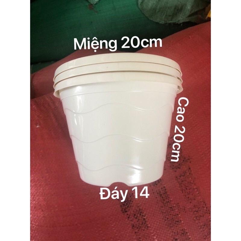 Chậu nhựa treo sóng biển màu trắng