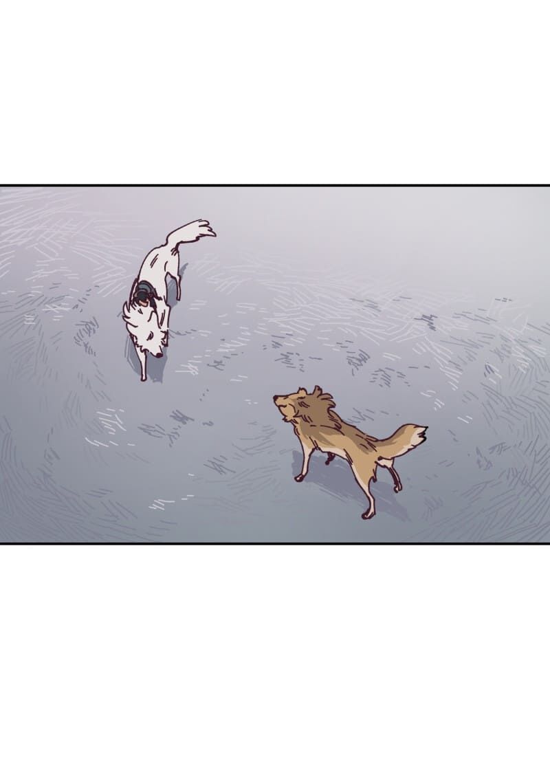 lumine - cội nguồn ánh sáng chapter 115 35