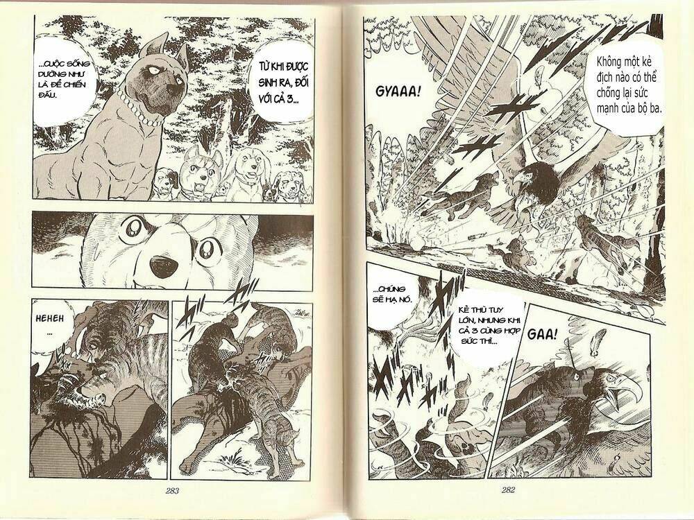 chú chó có nghĩa - ginga nagareboshi gin chapter 12 8