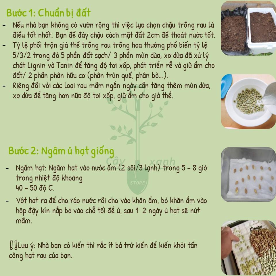 Hạt Giống Rau Cải Cúc Nếp, Tần Ô Lá Tròn 20Gr - Phú Nông Seeds