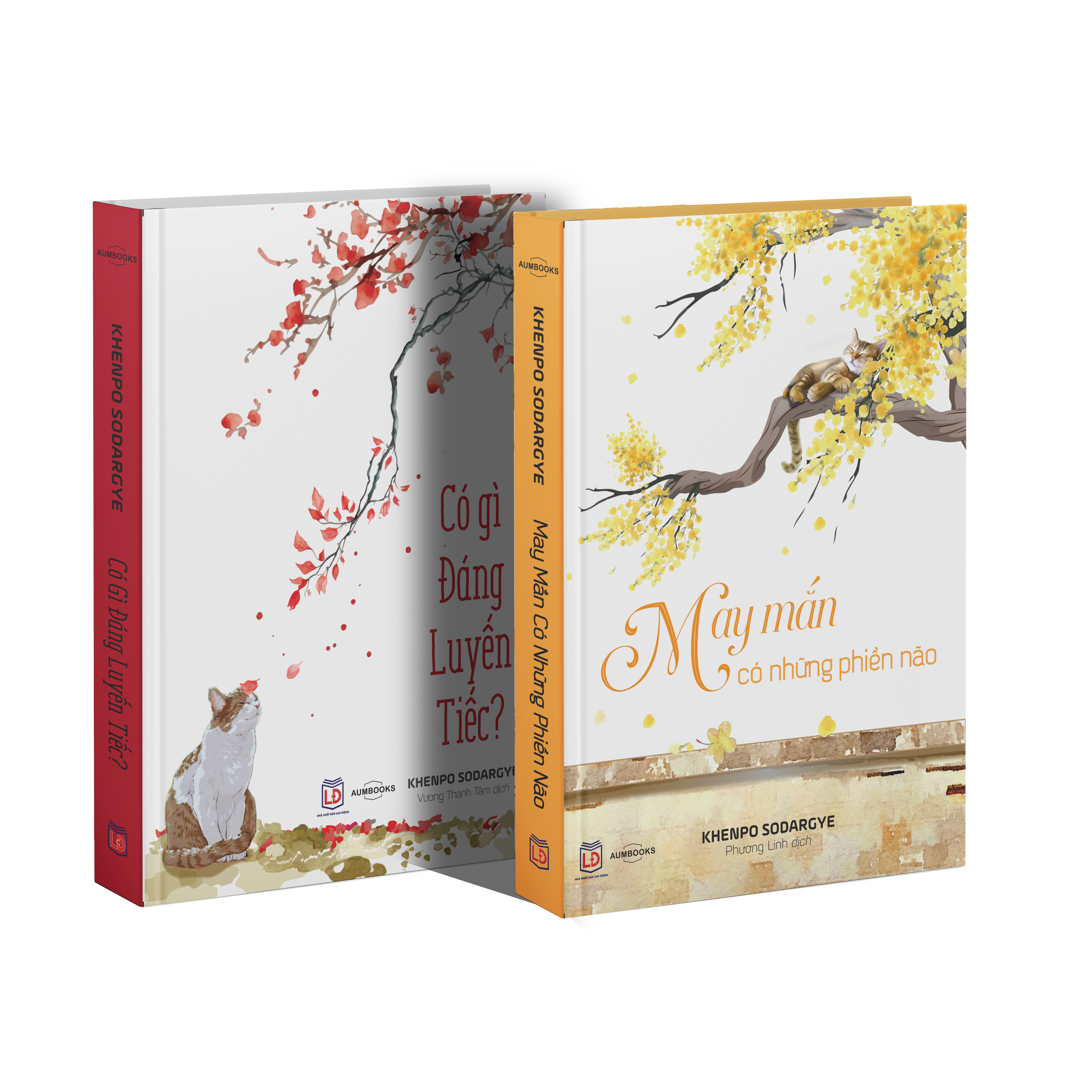 BỘ SÁCH "TIẾC" - Sách Tôn Giáo, Nghệ Thuật Và Văn Hóa, Tác Giả KHENPO SODARGYE - Hiệu Sách GenBooks, bìa mềm, in màu
