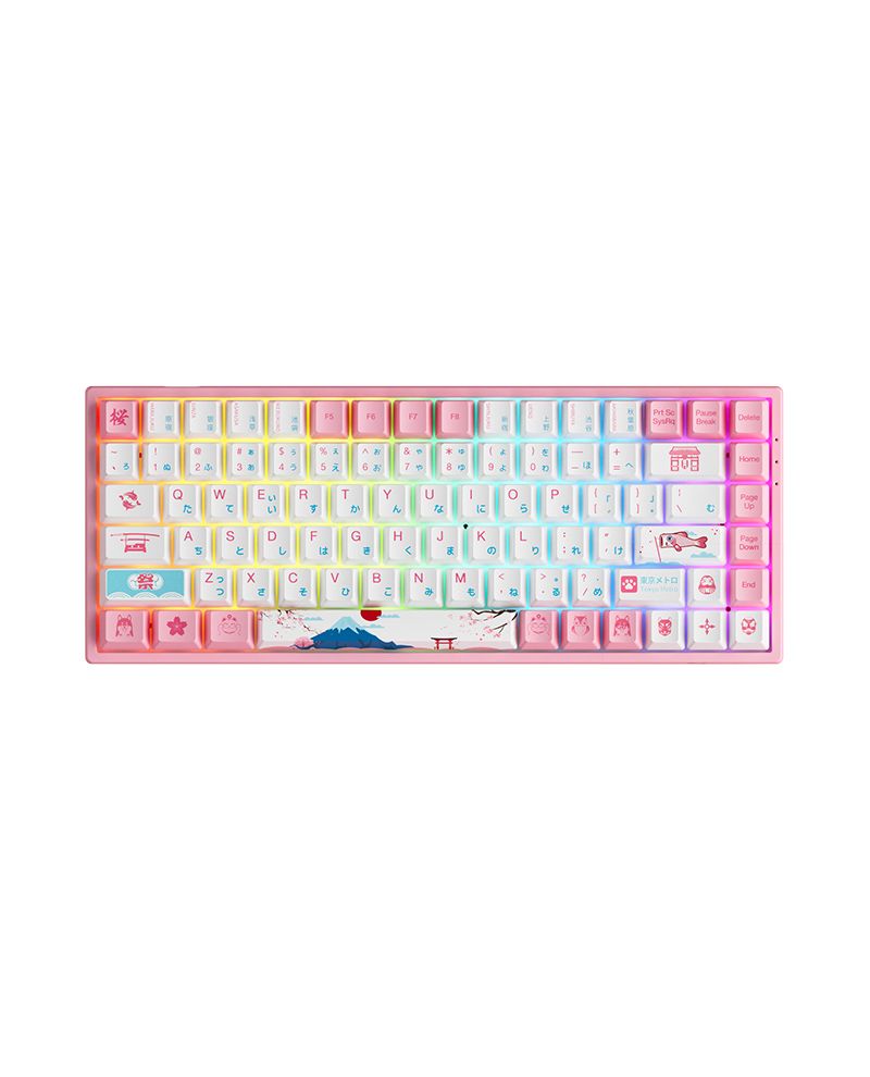 Bàn Phím Cơ Máy Tính Không Dây - AKKO 3084B Plus World Tour Tokyo R2| Bluetooth5.0| Wireless2.4Ghz| Hotswap| LED RGB| Foam Tiêu Âm| AKKO CS Jelly Pink Switch| Chuyên Game| Hàng Chính Hãng