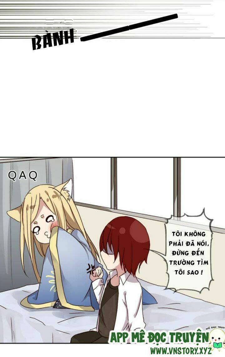 hồ tiên này không tin được chapter 1 20