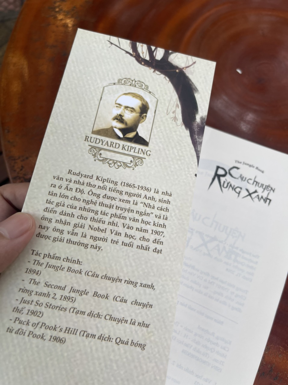 CÂU CHUYỆN RỪNG XANH – Rudyard Kipling – Đinh Tị Books