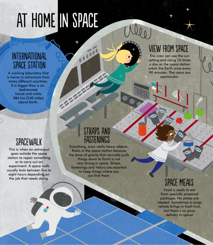 Facts: Essential Knowledge For Curious Kids
