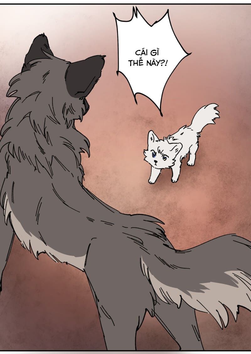 lumine - cội nguồn ánh sáng chapter 106 38
