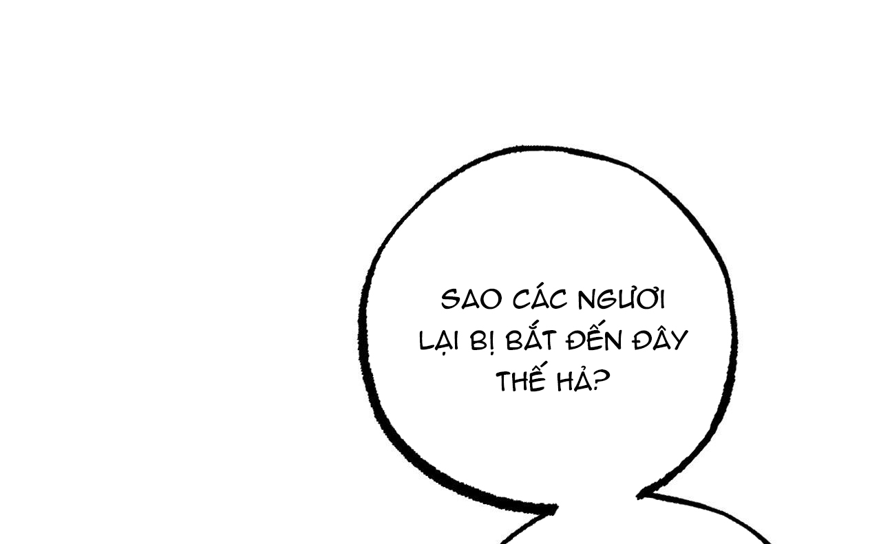 đàn thỏ của habibi chapter 46 75