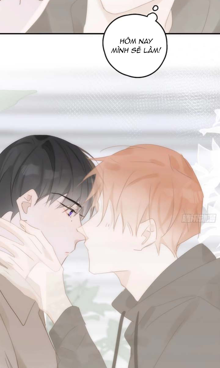 đêm đầy sao nói với em chapter 35 43