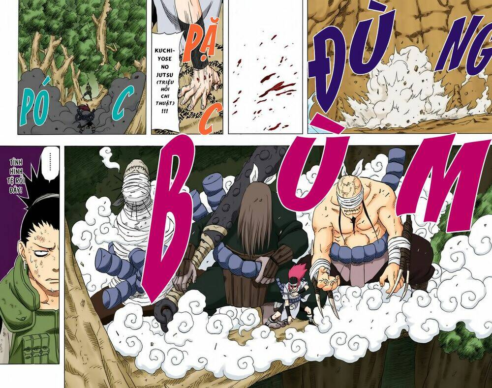 cửu vĩ hồ ly màu chapter 202 12