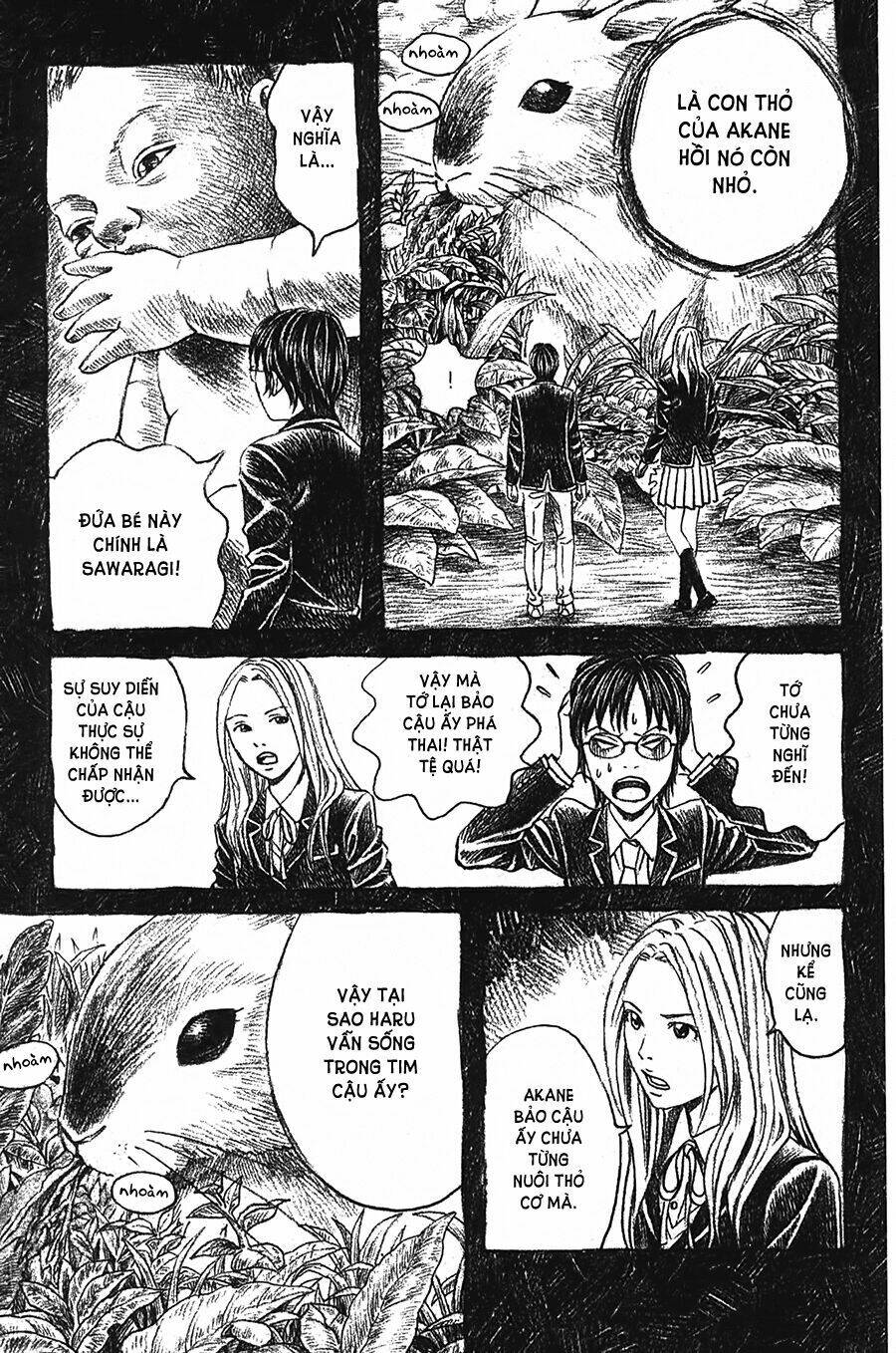 ảo ảnh picasso chapter 2 29