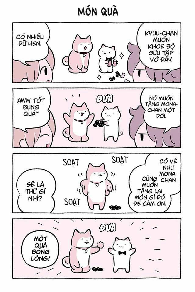 chú mèo kỳ diệu kyuu-chan chapter 475 2