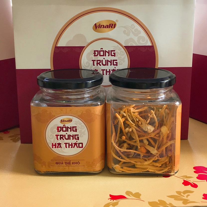 Đông Trùng Hạ Thảo VINARI - Quả thể khô 10 gram