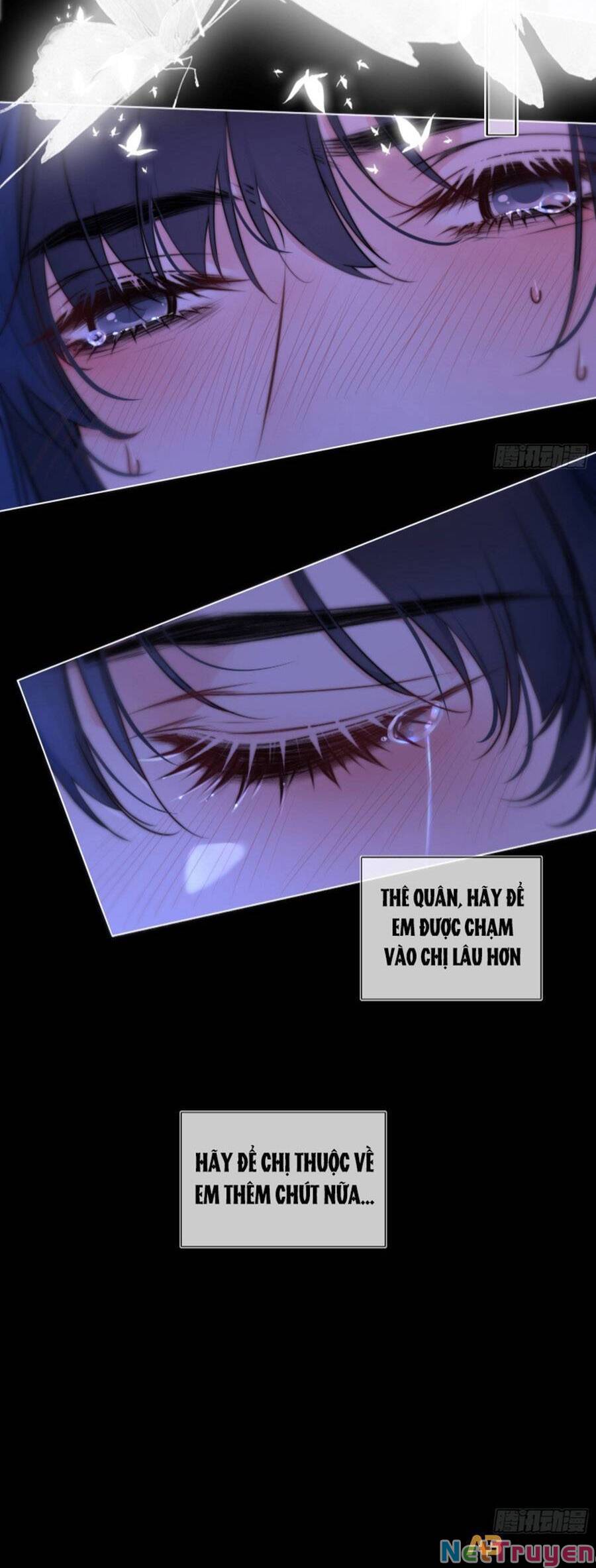 kim ốc tàng kiều chapter 62 18