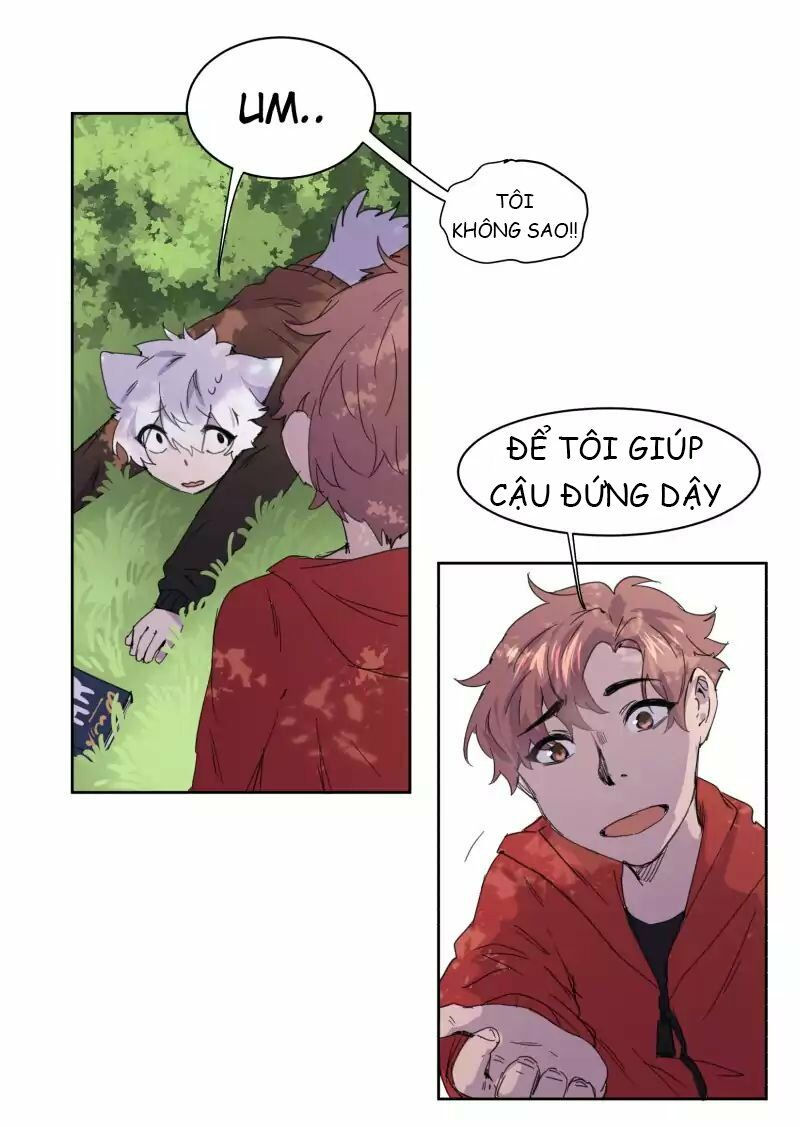lumine - cội nguồn ánh sáng chapter 13 18
