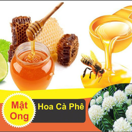 Mật Ong hoa cà phê nguyên chất Golden Honey - tăng sức đề kháng, giảm ho, viên họng, dưỡng ẩm da và môi cang bóng mịn màng - Massel Official