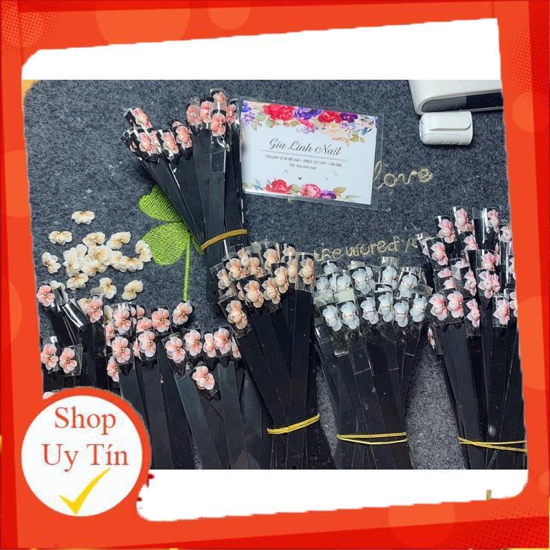 Hoa bột nail gắn móng tay | Hoa trai đá