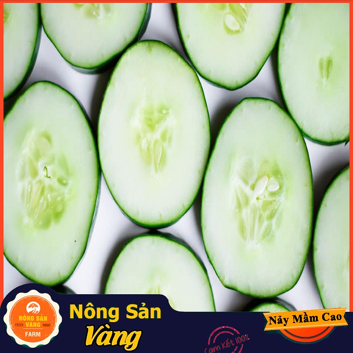 Hạt giống Dưa Leo - Nông Sản Vàng