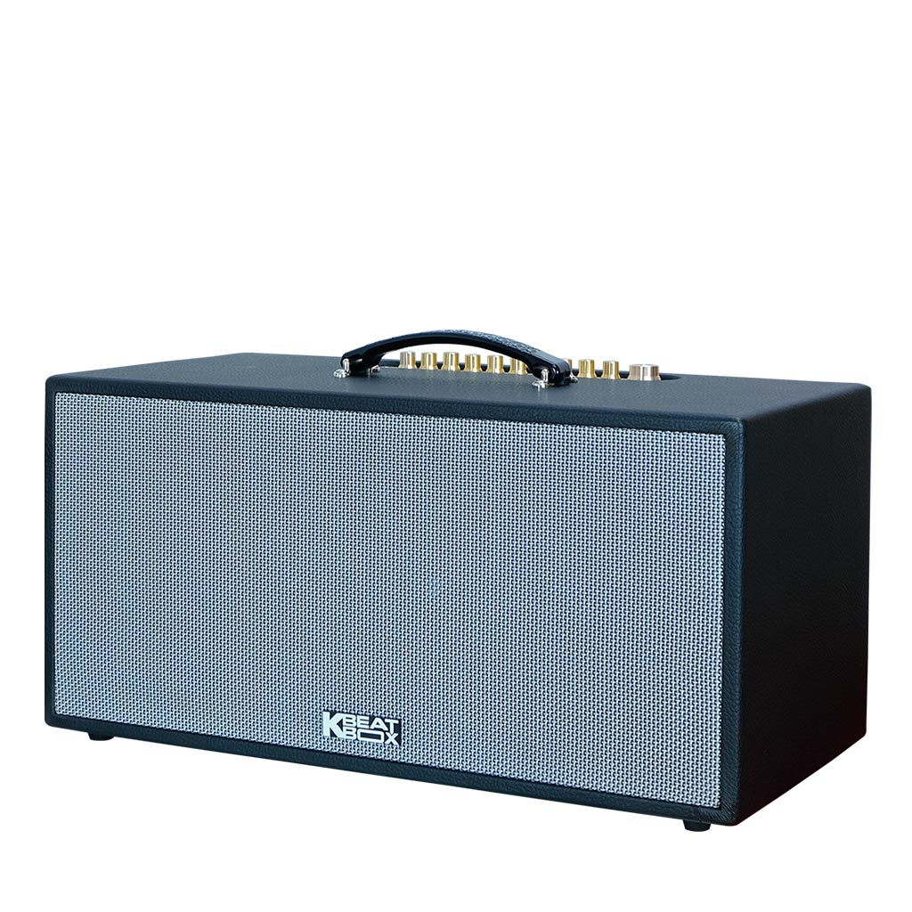 Dàn âm thanh di động xách tay ACNOS CS451Plus