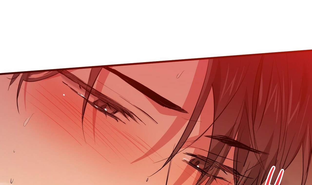 đàn thỏ của habibi chapter 25 207